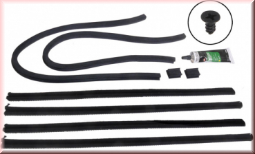 Fensterführungs Set für Türen Fordor hinten