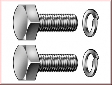 Halteschrauben für Vergaser