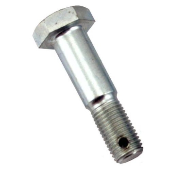 lange Bundschraube für Bremsankerplatte - HA