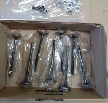 moderner Ventilsatz komplett mit gehärteten Ventilen, Federn, Tellern und Keilen