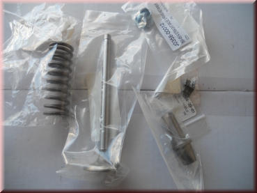 moderner Ventilsatz komplett mit Edelstahlventilen, Ventilführungen und Federn