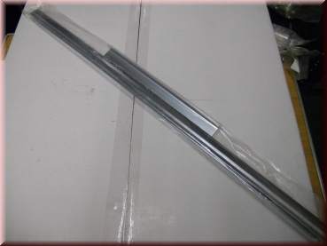 Halteschiene Scheibe Tudor und Coupe