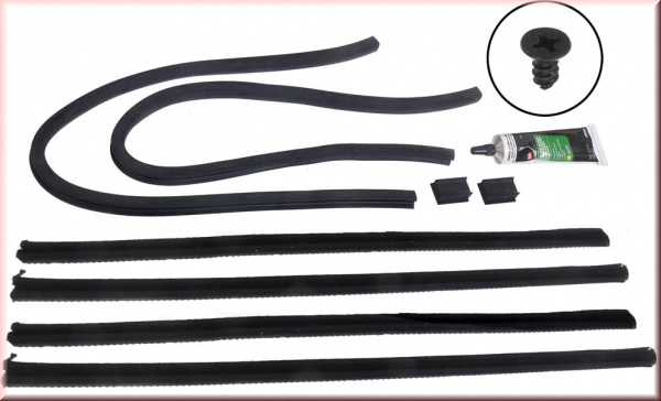 Fensterführungs Set für Türen Fordor hinten