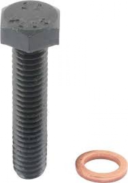 2 Schrauben und Dichtringe für Ölrücklaufrohr