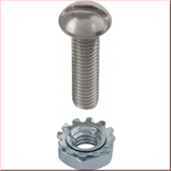 Schrauben-Set für Haubenhalter 1930-31 Edelstahl