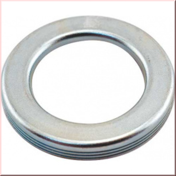 Staub und Fettdichtung für Radlager vorn