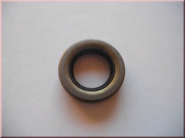 Wellendichtring Hinterachse