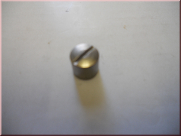 Halteschraube für Türinnengriff